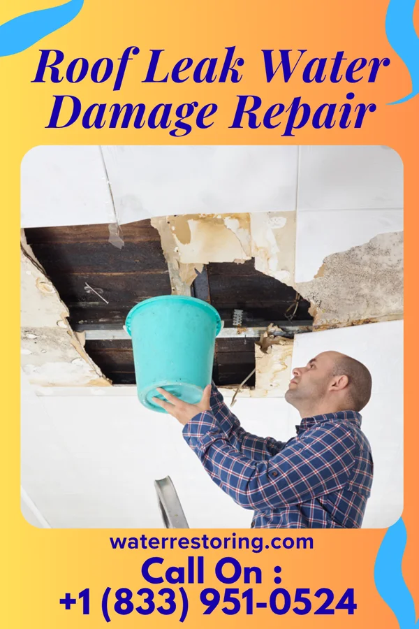 Roof Leak Water Damage Repair in Iola, PA