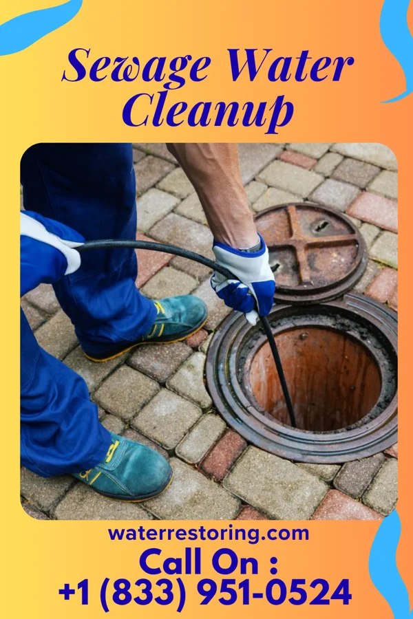 Sewage Water Cleanup in Iola, PA