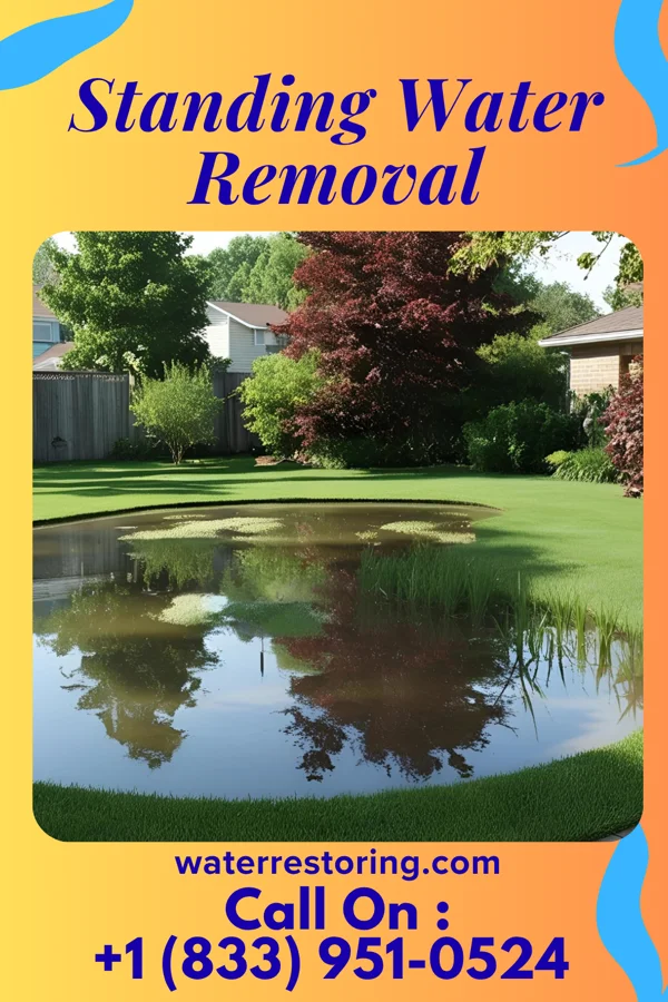 Standing Water Removal in Iola, PA